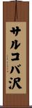 サルコバ沢 Scroll