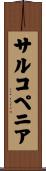 サルコペニア Scroll