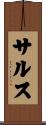 サルス Scroll