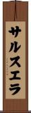 サルスエラ Scroll