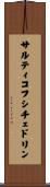 サルティコフ・シチェドリン Scroll
