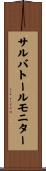 サルバトール・モニター Scroll