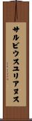 サルビウスユリアヌス Scroll