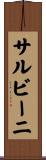 サルビーニ Scroll