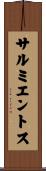 サルミエントス Scroll