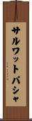 サルワットパシャ Scroll