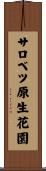 サロベツ原生花園 Scroll