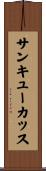 サンキューカッス Scroll