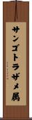 サンゴトラザメ属 Scroll