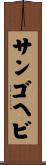 サンゴヘビ Scroll