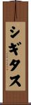 シギタス Scroll