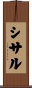 シサル Scroll