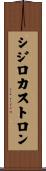 シジロカストロン Scroll
