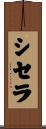 シセラ Scroll