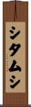 シタムシ Scroll