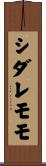 シダレモモ Scroll