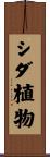 シダ植物 Scroll