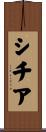 シチア Scroll