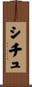 シチュ Scroll