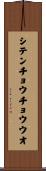シテンチョウチョウウオ Scroll