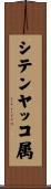 シテンヤッコ属 Scroll