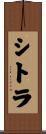 シトラ Scroll