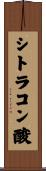 シトラコン酸 Scroll