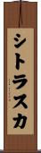 シトラスカ Scroll