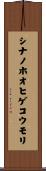シナノホオヒゲコウモリ Scroll