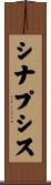 シナプシス Scroll