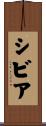 シビア Scroll