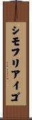 シモフリアイゴ Scroll