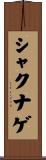 シャクナゲ Scroll