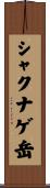 シャクナゲ岳 Scroll