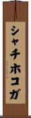 シャチホコガ Scroll