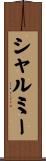 シャルミー Scroll