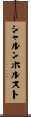 シャルンホルスト Scroll