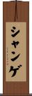 シャンゲ Scroll