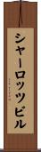 シャーロッツビル Scroll