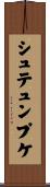 シュテュンプケ Scroll