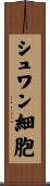 シュワン細胞 Scroll
