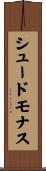 シュードモナス Scroll