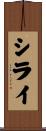 シライ Scroll