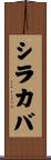 シラカバ Scroll