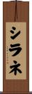 シラネ Scroll