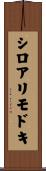 シロアリモドキ Scroll