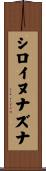 シロイヌナズナ Scroll