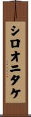 シロオニタケ Scroll