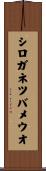 シロガネツバメウオ Scroll