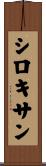 シロキサン Scroll